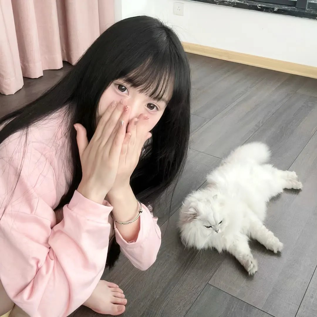 商帝至尊：从拒绝入赘开始